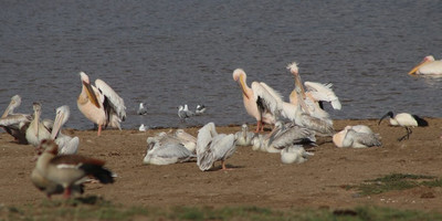 16-day trip of uganda's major tourist attractions - Photo 3