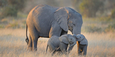 6 Days Namibia Express Safari - Photo 2