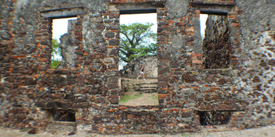 Roots - Photo 10