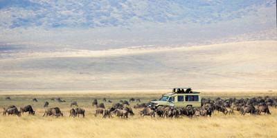3 days 2 nights private serengeti-ngorongoro express safari - Photo 2