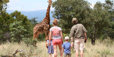Family adventure in nairobi, lake naivasha and maasai mara - Photo 1