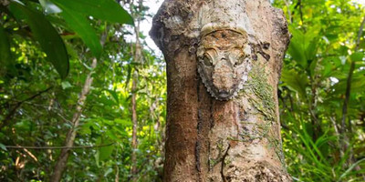 The north adventure of madagascar - Photo 9