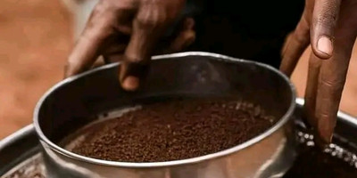 Day trip to materuni waterfall and coffee tour - Photo 8