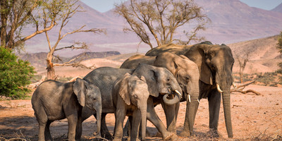 4-day wild escape: samburu national park & aberdares adventure - Photo 7