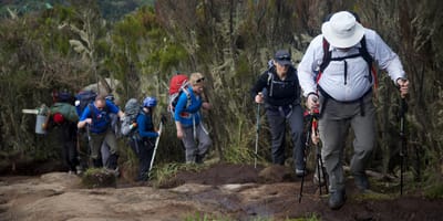 MOUNT KILIMANJARO-MACHAME ROUTE 7 DAYS TREKKING - Photo 7