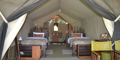 4 days masai mara budget camping safari - Photo 3