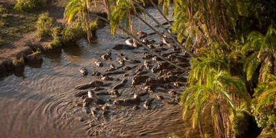 4 days camping safari - Photo 4