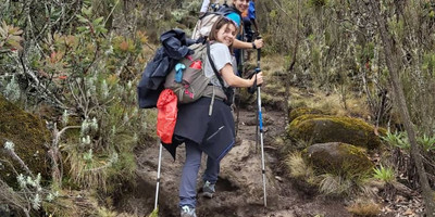 8 days kilimanjaro climb via lemosho route - Photo 6