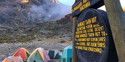 7 days lemosho route kilimanjaro climb - Photo 6