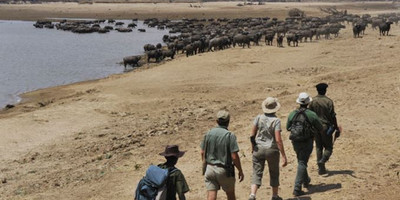 10 Nights – Zambia and Malawi - Photo 1