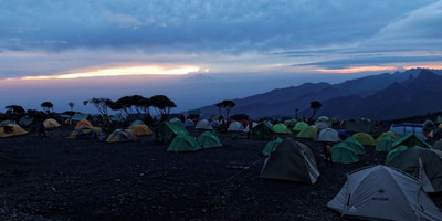 8 days lemosho route kilimanjaro climbing - Photo 4