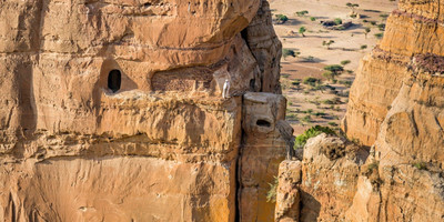 5days tigray churches tour - Photo 1