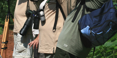 15 days birding expedition to uganda - Photo 1