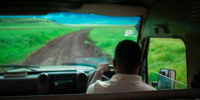 2 days tanzania lodge ( luxury) safari - Photo 1