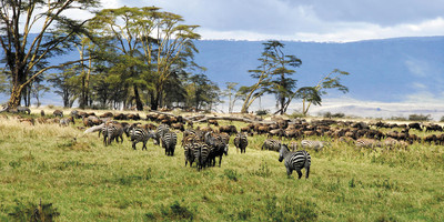 3 Days On Budget Safari - Photo 6