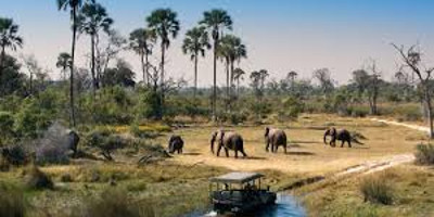 9 Days Wilderness Botswana and Victoria Falls from Windhoek (Lodging) - Photo 3