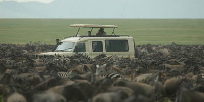 7 day northern serengeti wildebeest migration safari - Photo 1