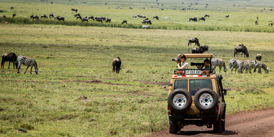 4 day tanzania classic safari - tarangire, serengeti & ngorongoro crater - Photo 2
