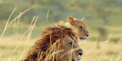 4 days samburu & ol pejeta safari itinerary – a 4x4 adventure - Photo 7