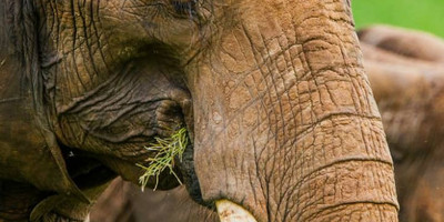 2 days last-minute safari to tarangire and ngorongoro - Photo 3