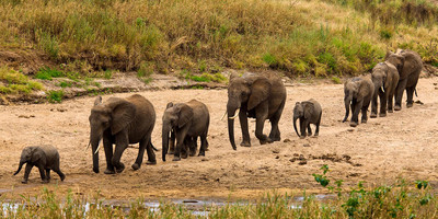 Hakuna matata tanzania safaris - Photo 2