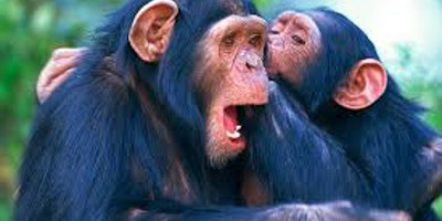 Days closer to your dreams! 4 days 3 nights samburu & olpejeta conservancy - Photo 7