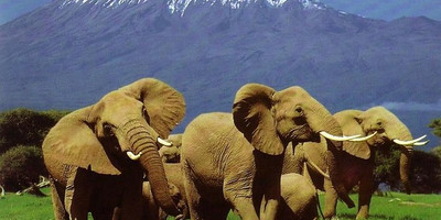 6 days adventure to the maasai mara - Photo 4