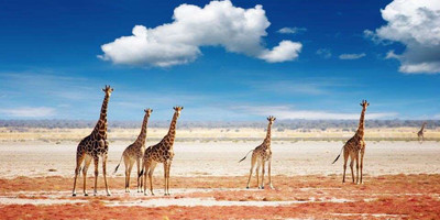 6 Days Namibia Express Safari - Photo 1