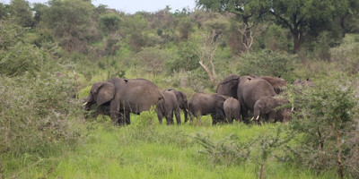 6 days thrilling safari in kenya - Photo 5