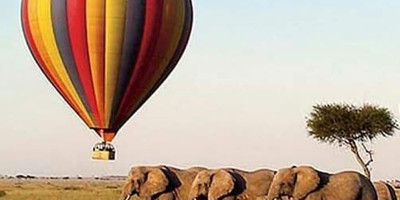 4 days 3 nights lake nakuru/masai mara/nairobi - big 5 safari package - Photo 3