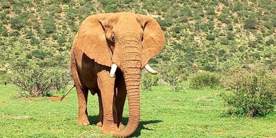  "wild wonders: 3-day masai mara adventure safari" - Photo 8