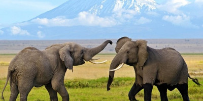 6 days adventure to the maasai mara - Photo 3