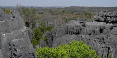 Tsingy of bemaraha expedition - Photo 1