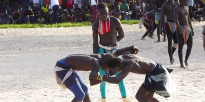 Niambodecouverte, casamance - Photo 14