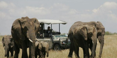 11 days all inclusive luxury african safari trips vacations - Photo 1