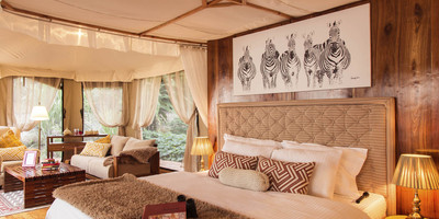 5 day safari across serengeti - Photo 8