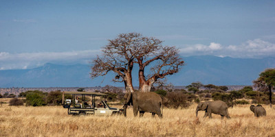 4-day amboseli, tsavo west & tsavo east safari adventure - Photo 3