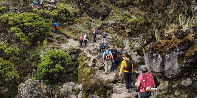 6/5 machame days climbing kilimanjaro - Photo 2