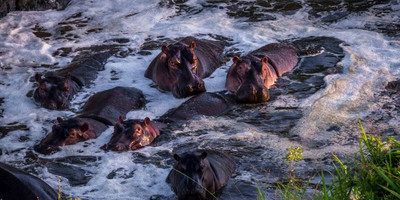 3 days masai mara budget camping tour - Photo 1