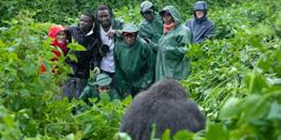 Gorilla experience uganda - Photo 2