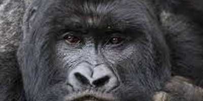 Uganda expedition trip - Photo 1