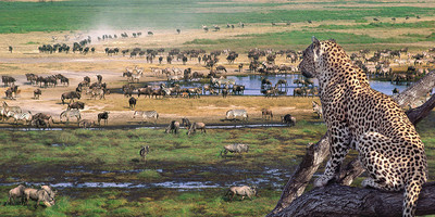 4 day camping safari serengeti and ngorongoro - Photo 1