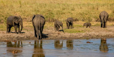 Safari tanzanie 2 jours - Photo 1