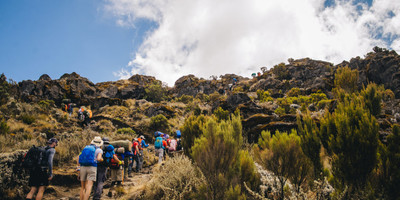 5 days kilimanjaro climbing marangu route - Photo 3