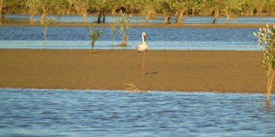 Relax at madagascar on point south - Photo 4