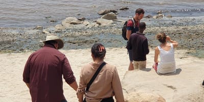 3 days tanzania camping (budget) safari serengeti and ngorongoro - Photo 4