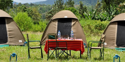 4 Days and 3 Nights Tanzania Secrets Camping Safari - Photo 1
