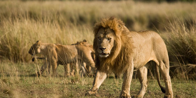 Murchison falls national park tour - Photo 1