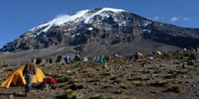 13 day gorilla, chimpanzee trekking and climbing rwenzori mountains adventure - Photo 2