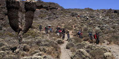 10 days mountaineering rwenzori/ uganda - Photo 1